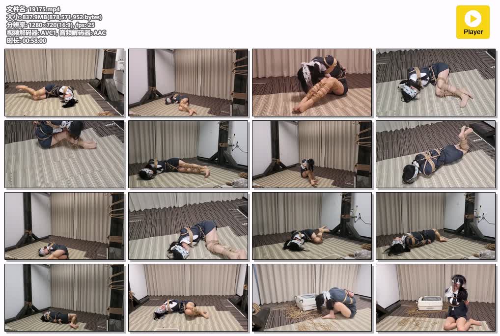 SYY【象人】-胖竹子嗷嗷女商业间谍抓获欧式直臂凌乱细绳绑架装箱下.mp4