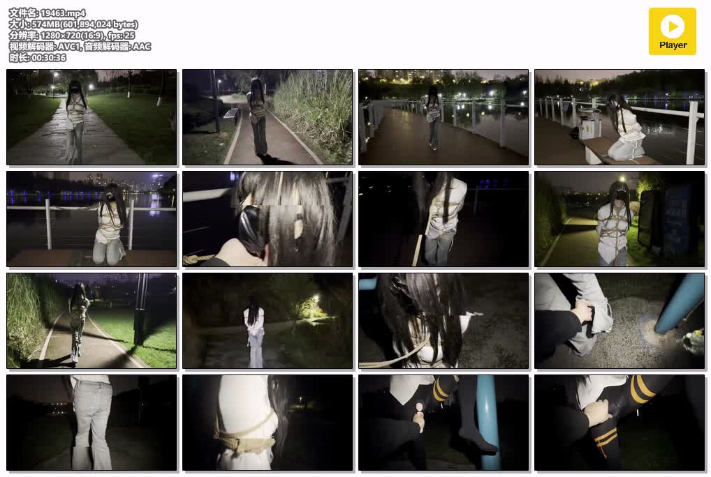 SYY【桃花岛】-桃花岛之桃花公园游行记.mp4