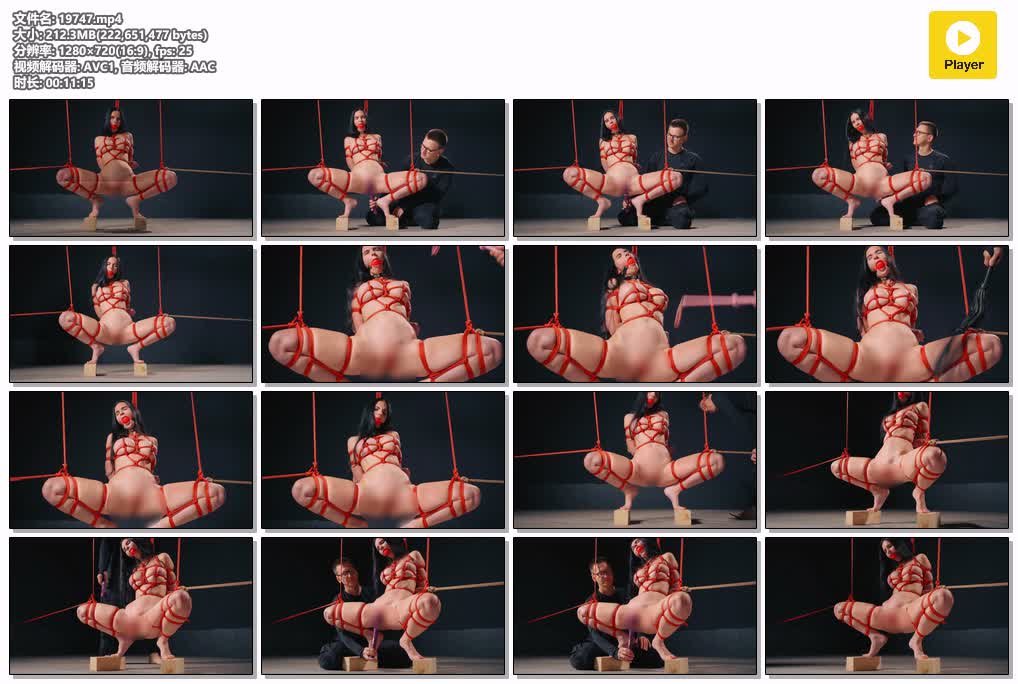 SYY【欧美绳艺】-PUSSY WHIP SANGINI.mp4