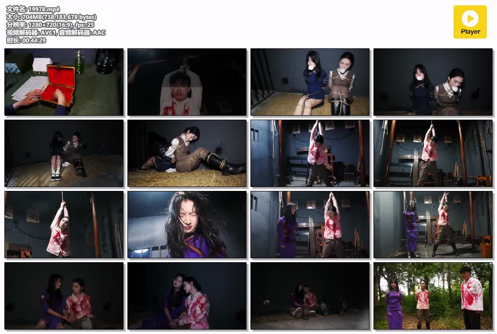 SYY【胜景影视】-狱骨双姝在沦陷区两名地下女同志在秘密接头时被叛徒出卖被捕遭受各种酷刑后英勇就义.mp4
