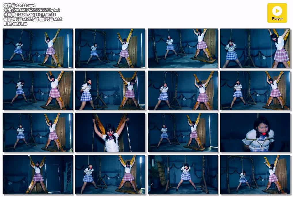 SYY【胜景影视】-X架下的女仆.mp4