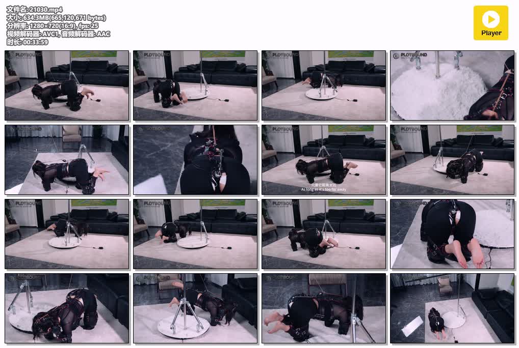 SYY【PlotBound】-BondageDevice自动电击遛狗装置全套狗狗套装电击马具口塞G钩长时间训练.mp4