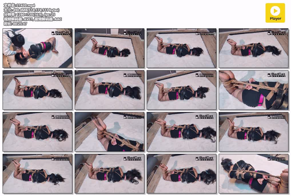 SYY【BadCat】-美麗的奮鬥BeautifulStruggles.mp4