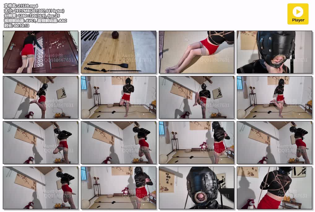 SYY【AuntGzs】-入室抢劫遭吊缚全包头套鞭打.mp4