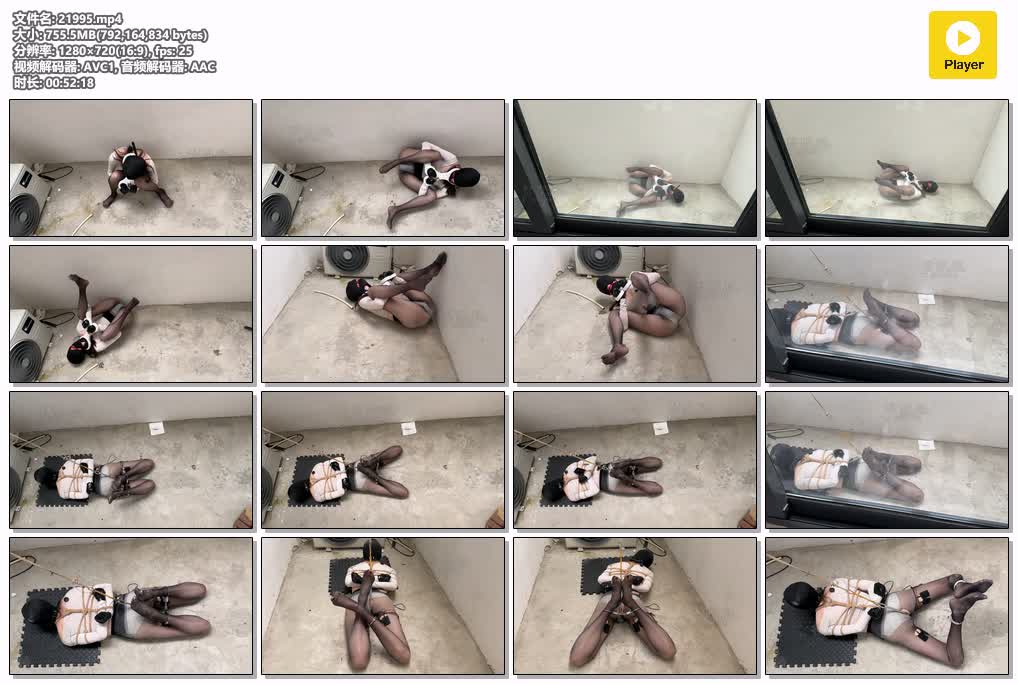SYY【bondagefox】-foxbondage大学生绑架事件上19.mp4