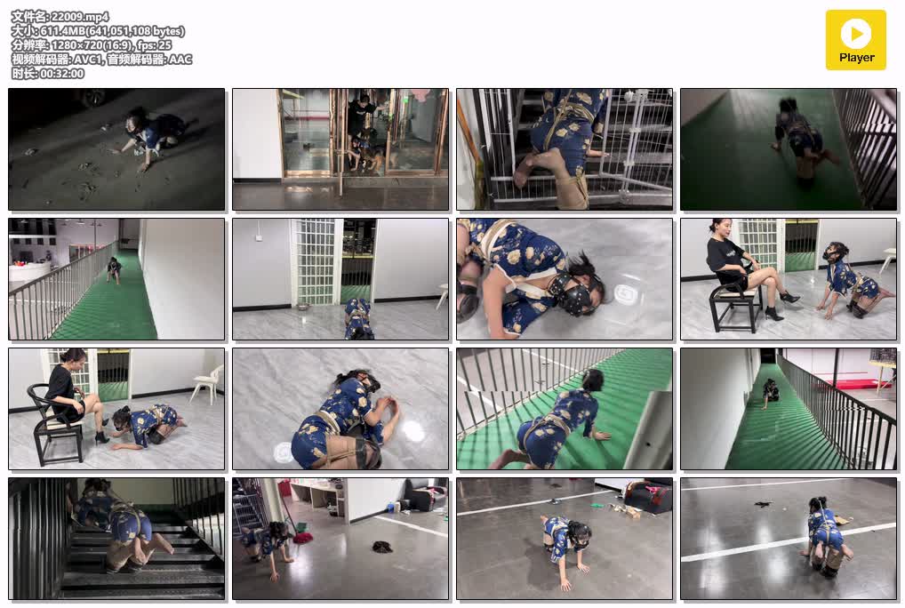 SYY【媚娘】-蜜桃臀骚臭狗奴壹壹的爬楼训练.mp4